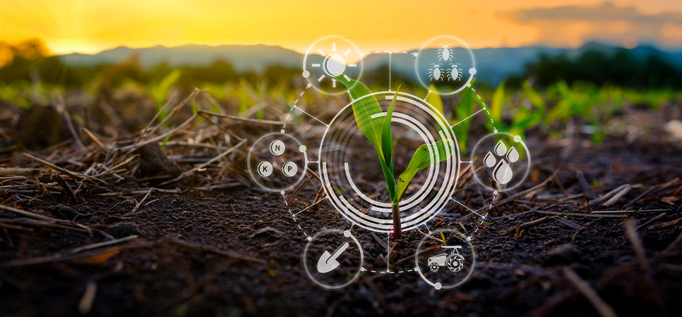 Planta em solo monitorada por sensoriamento agrícola e telemetria com ícones digitais de automação no campo