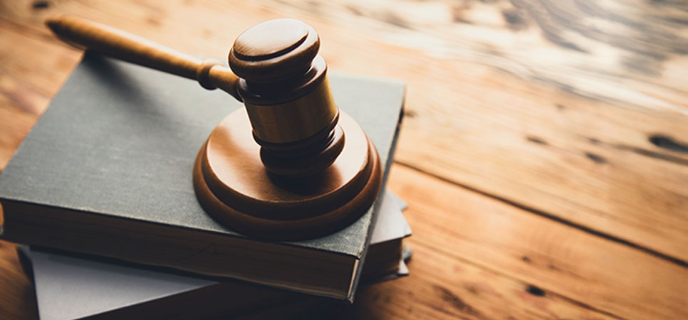 Soluções biológicas para controle de pragas, melhoria do solo e nutrição vegetal, destacando a importância da regulamentação