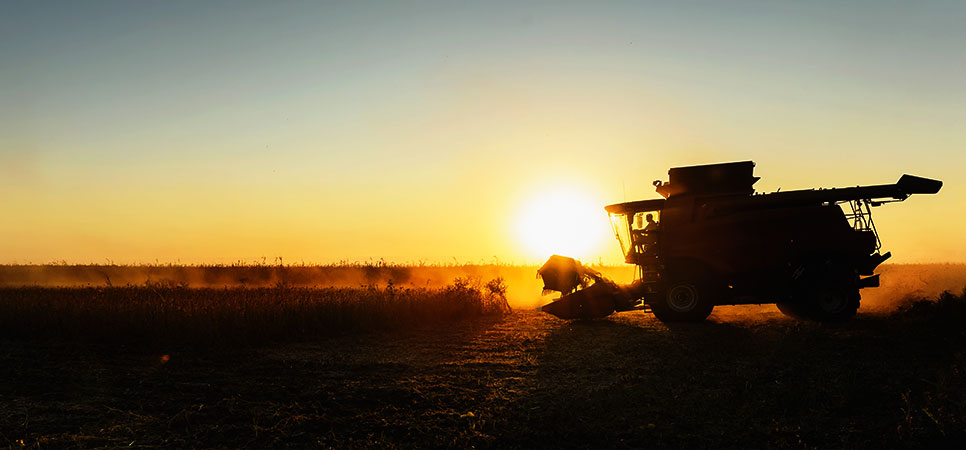 Colheitadeira em ação, colhendo grãos em lavoura. A cena destaca as condições do terreno e requisitos específicos com a mecanização agrícola e a eficiência na colheita