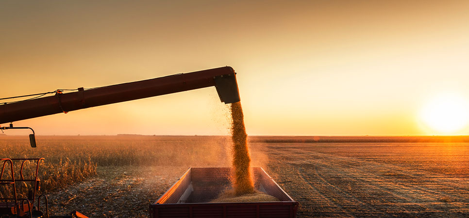 Grãos sendo descarregados de uma colheitadeira para um caminhão, ilustrando o processo de colheita, armazenamento na agricultura e testes práticos