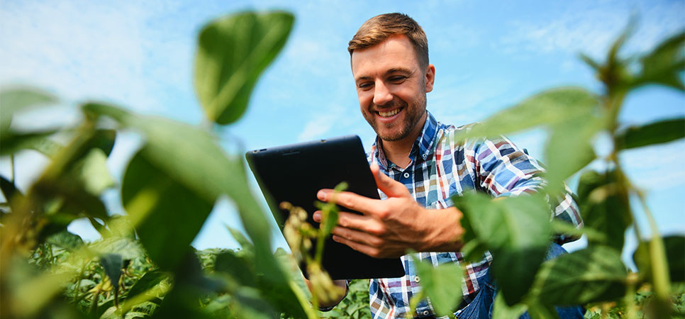 Produtor rural em lavoura, representando práticas de monitoramento eficiente de pragas e manejo integrado para reduzir defensivos, com registro e análise de dados