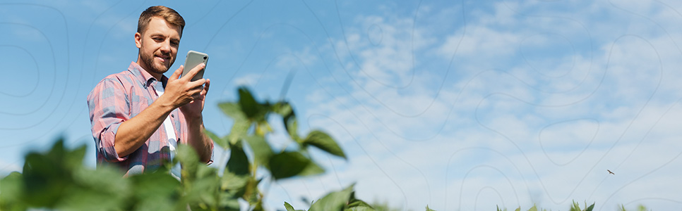 Programas de fidelidade no agronegócio oferecem benefícios como otimização de negócios, acesso a tecnologias e produtos de qualidade para o produtor rural.