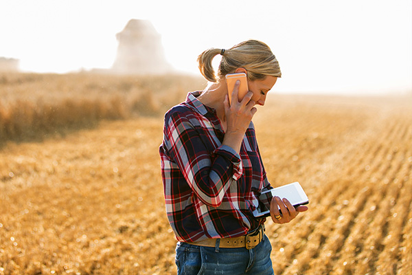 gestão de compras para almoxarifado de fazendas, controle de cotações e recebimentos agrícolas