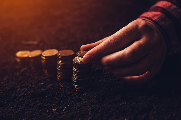 Gestão financeira eficiente para fazendas com SSCrop: controle de despesas, receitas e fluxo de caixa para decisões estratégicas